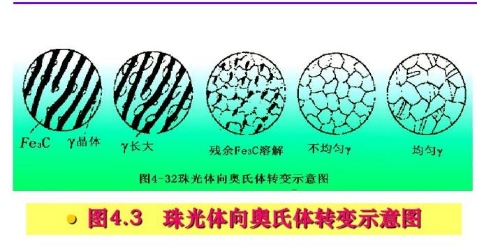 合金元素對鋼加熱轉變和回火轉變影響.jpg 合金元素對鋼加熱轉變和回火轉變影響.jpg